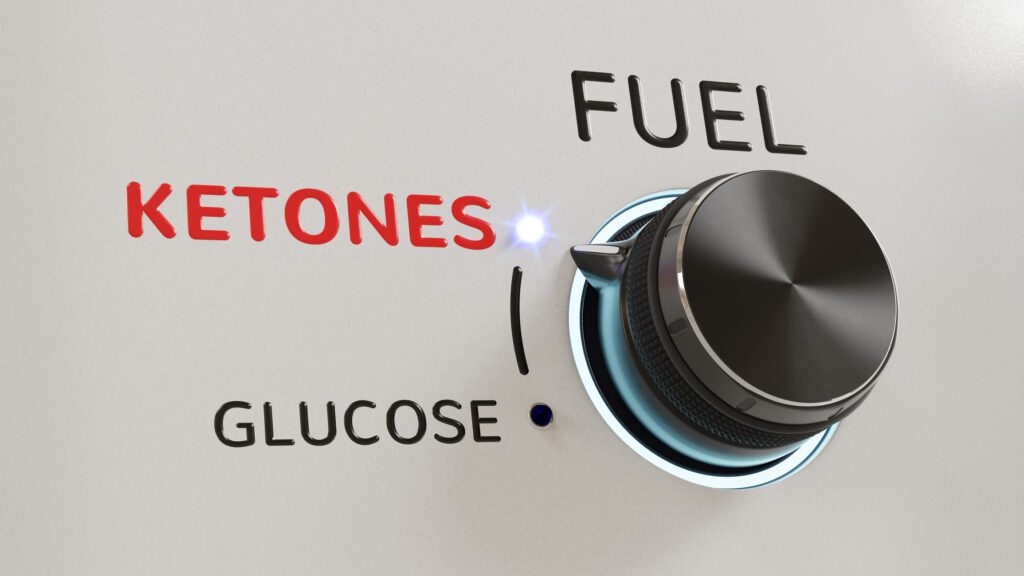 Ketogenic Fuel, Ketones