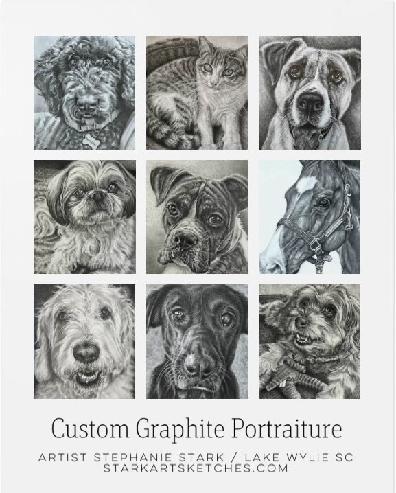 Graphite portraits of various animals and pets.